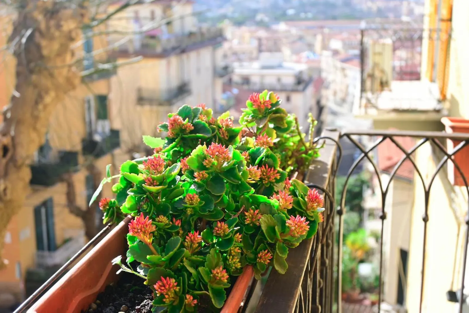 La Maison Au 35 La Spezia Italy